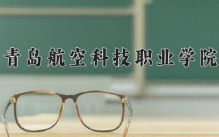 2024年青岛航空科技职业学院录取分数线，河北最低308分