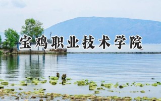 宝鸡职业技术学院2024在青海录取分数线是多少？最低308分/最高394分
