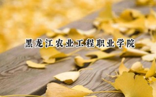黑龙江农业工程职业学院2024在内蒙古录取分数线是多少？最低269分/最高377分