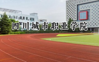 四川城市职业学院2024在山东录取分数线是多少？最低242分/最高271分