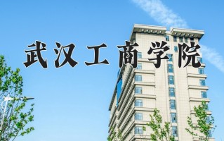 武汉工商学院最厉害的专业-2024武汉工商学院最好专业