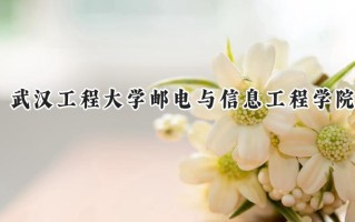 武汉工程大学邮电与信息工程学院2024在山东录取分数线是多少？最低444分/最高455分