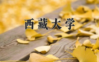 2024年西藏大学录取分数线，青海最低383分