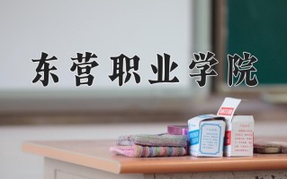 2024东营职业学院录取分数线：浙江最低417分