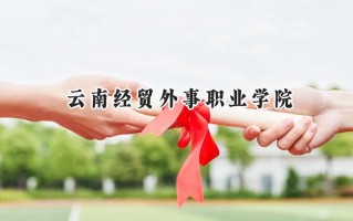 云南经贸外事职业学院2024在内蒙古录取分数线是多少？最低217分/最高304分