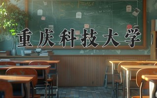2024年重庆科技大学录取分数线，新疆最低385分