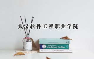 2024武汉软件工程职业学院录取分数线：陕西最低370分