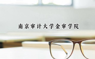 2024南京审计大学金审学院录取分数线：宁夏最低416分