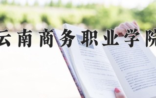 2025年云南商务职业学院在四川计划招生人数（附学费及专业录取分)