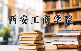 2024年西安工商学院录取分数线，河北最低315分