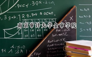 2024南京审计大学金审学院录取分数线：山西最低418分