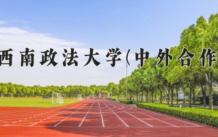 2024西南政法大学(中外合作)录取分数线，重庆录取最低分576