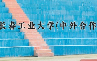 2024年长春工业大学(中外合作)录取分数线，内蒙古最低431分