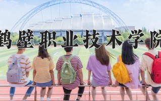 2024年鹤壁职业技术学院录取分数线，青海最低253分