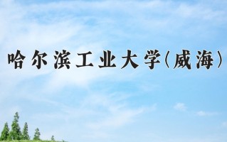 2024年哈尔滨工业大学(威海)录取分数线，新疆最低587分