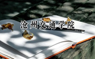 沧州交通学院2024在浙江录取分数线是多少？最低471分/最高537分