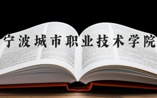 2025年宁波城市职业技术学院在四川计划招生人数（附学费及专业录取分)