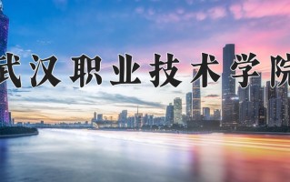 宁夏217分能上什么大学？附2025年可以报考的大学名单