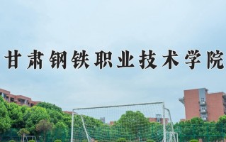 2024年甘肃钢铁职业技术学院录取分数线，宁夏最低311分