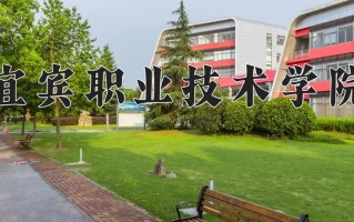 2025年宜宾职业技术学院在四川计划招生人数（附学费及专业录取分)