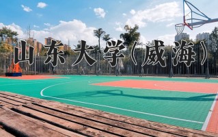 2024山东大学(威海)录取分数线，重庆录取最低分600