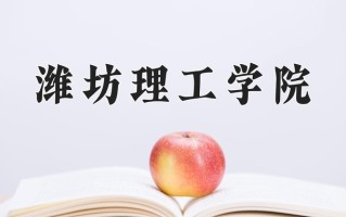2024年潍坊理工学院录取分数线，宁夏最低233分