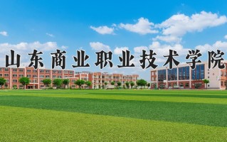 2024年山东商业职业技术学院录取分数线，新疆最低206分