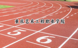 重庆艺术工程职业学院2024在山东录取分数线是多少？最低246分/最高353分
