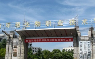 2025年四川398分左右能上的大学名单
