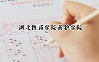 2024湖北医药学院药护学院录取分数线：宁夏最低401分