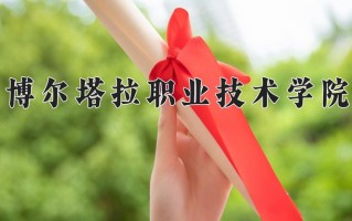 2024年博尔塔拉职业技术学院录取分数线，新疆最低172分