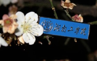 2024湖南工学院录取分数线，重庆录取最低分502