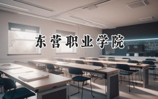 东营职业学院2024在浙江录取分数线是多少？最低417分/最高458分