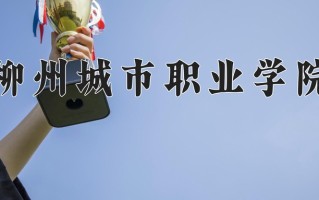 2024柳州城市职业学院录取分数线，重庆录取最低分339