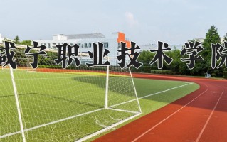 2024咸宁职业技术学院录取分数线：浙江最低420分