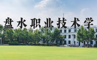 2024六盘水职业技术学院录取分数线，重庆录取最低分321