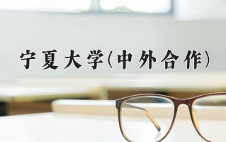 宁夏大学(中外合作)学费多少钱一年：19000-23800元/年（2025填报参考）