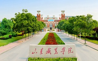 2024年山东职业学院录取分数线，河北最低392分