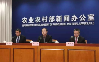 2026国考申论：春节前猪肉、蔬菜、水果将集体涨价?农业部回应