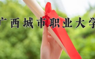 2024年广西城市职业大学录取分数线，青海最低328分