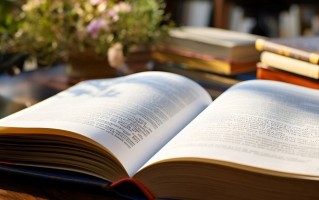 2025年临汾职业技术学院在广东计划招生人数（附学费及专业录取分）