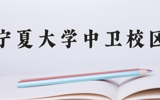 2024年宁夏大学中卫校区录取分数线，宁夏最低432分