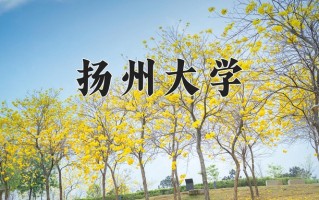 扬州大学一年学费多少钱及各专业的收费标准(2025参考）