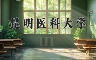 2024年昆明医科大学录取分数线，新疆最低376分
