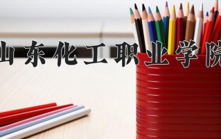 2024年山东化工职业学院录取分数线，内蒙古最低245分