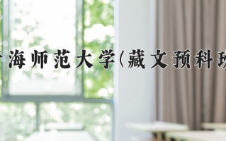 2024年青海师范大学(藏文预科班)录取分数线，青海最低398分