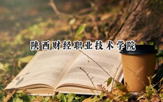 陕西财经职业技术学院2024在山东录取分数线是多少？最低399分/最高465分