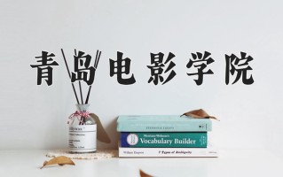 2024青岛电影学院录取分数线：浙江最低455分