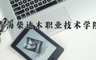 2024年青海柴达木职业技术学院录取分数线，青海最低254分
