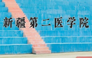 2024新疆第二医学院录取分数线：浙江最低483分